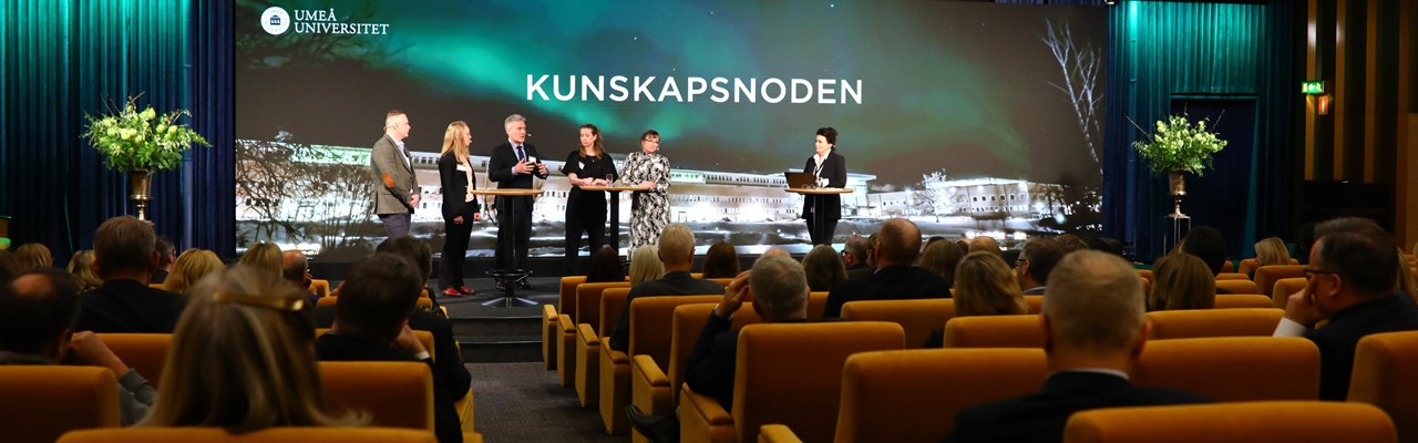 En grupp människor som står på en scen framför en publik.