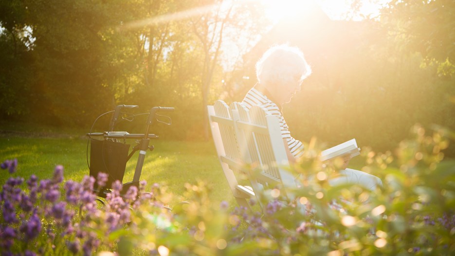 Older woman sits in a garden and reads a book in the afternoon sunlight