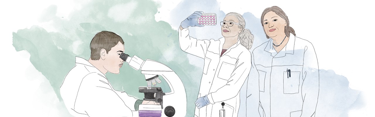 Illustration av en manlig forskare som tittar i ett mikroskop. Bredvid honom står två kvinnliga forskare. Den ena håller upp och tittar på en cellodlingsplatta.
