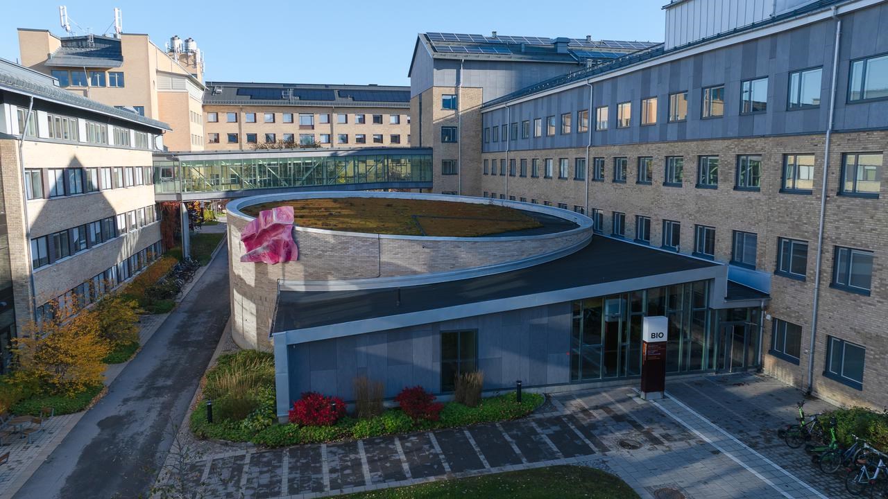 Campus i höstfärger, drönarstillbild