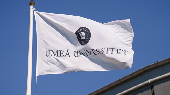 flaggor vid universitetsledningshuset