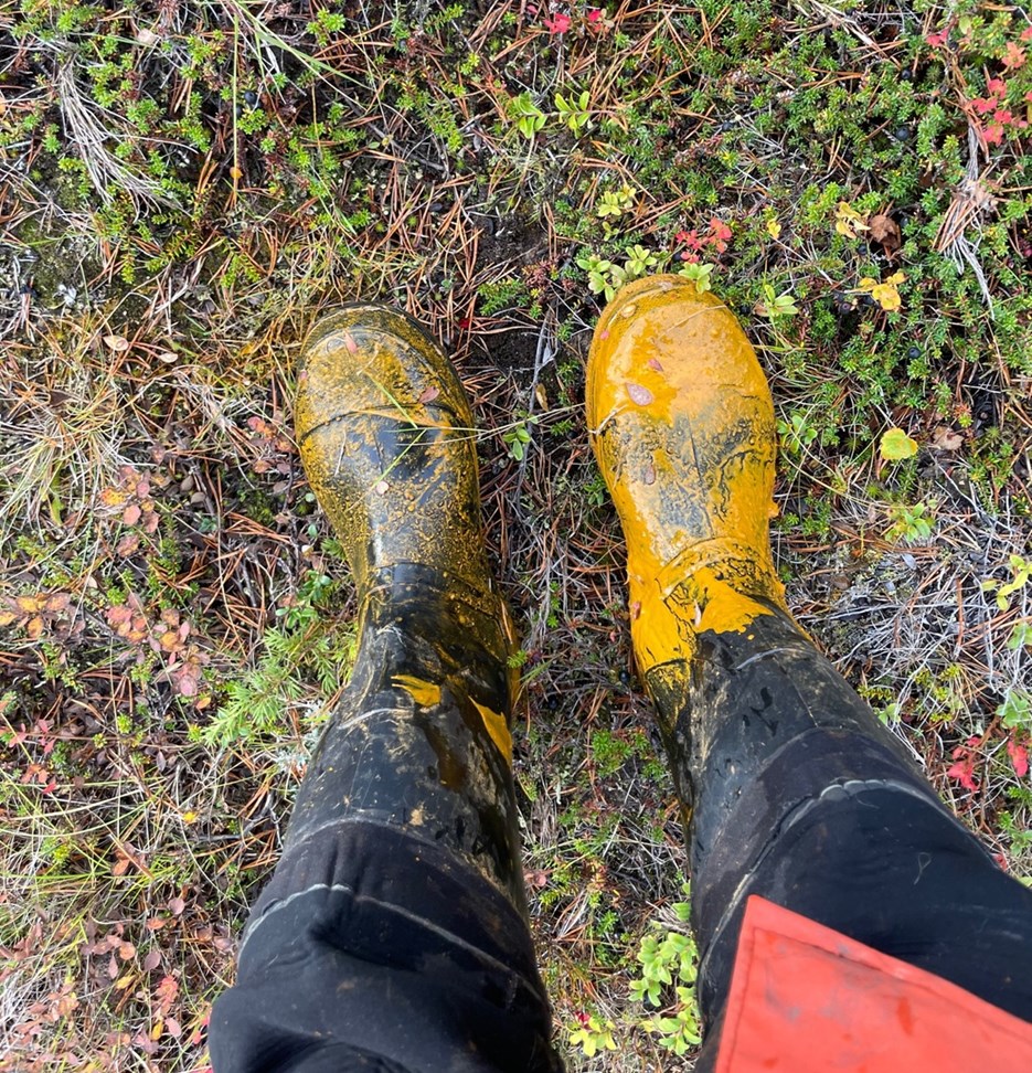 Top-down prespective of a pair of legs and wellington boots