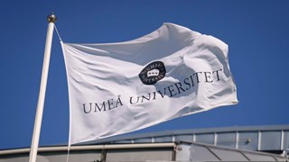 flaggor vid universitetsledningshuset