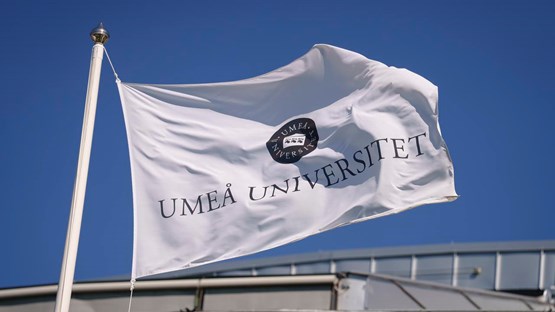 flaggor vid universitetsledningshuset