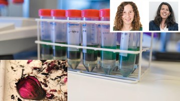portrait of speakers on top of image of vials