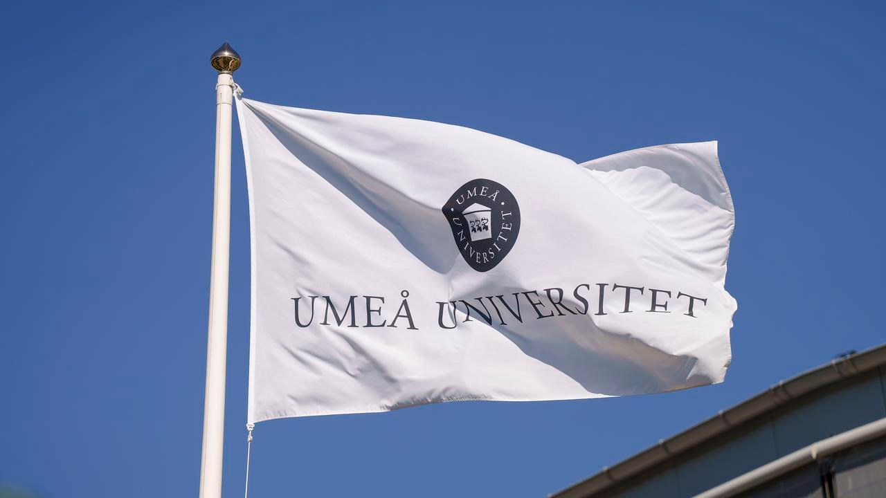 flaggor vid universitetsledningshuset