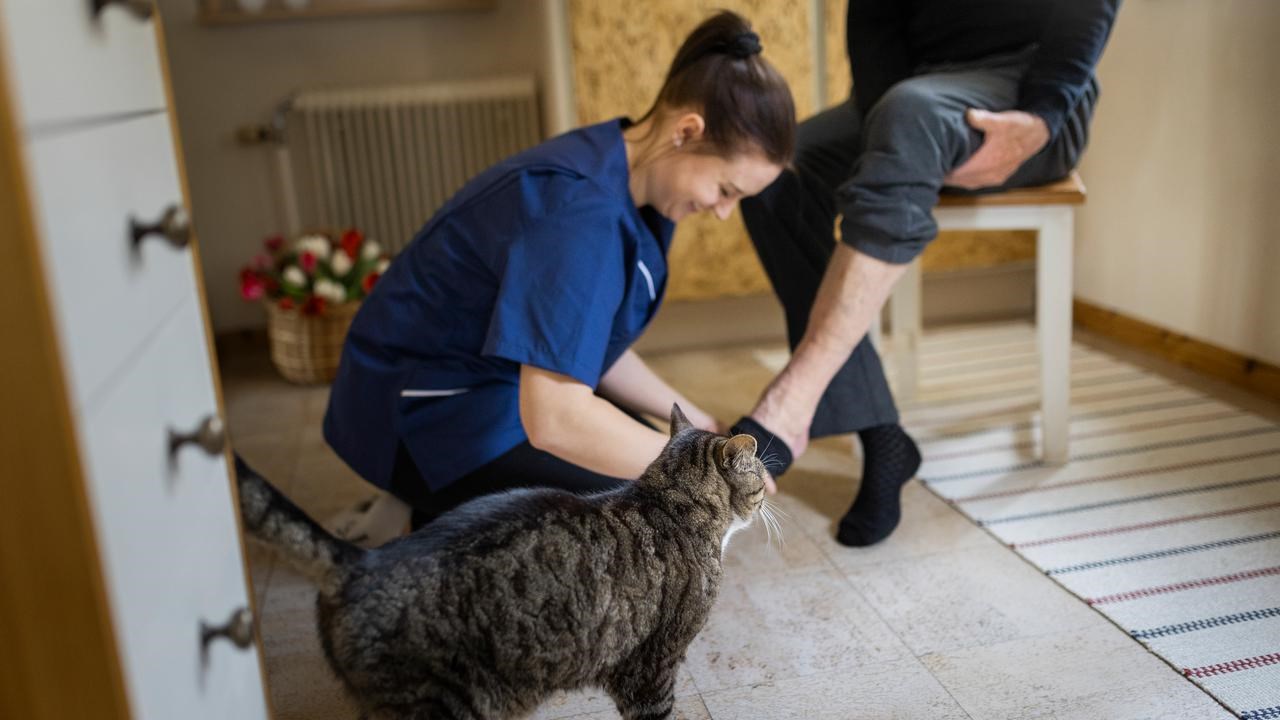 hemtj&auml;nst &auml;r en av de vanligaste socialtj&auml;nstinsatserna f&ouml;r &auml;ldre.