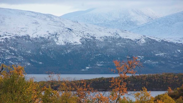 A view of the lake Torneträsk and surroundings.