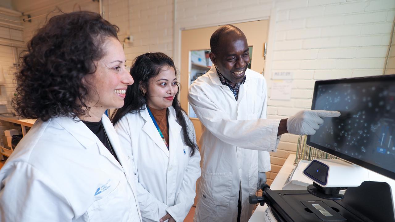 Nasim Sabouri lab