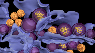 virusfabrik avbildad med kryo elektrontomografi