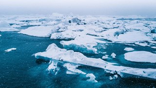 arctic