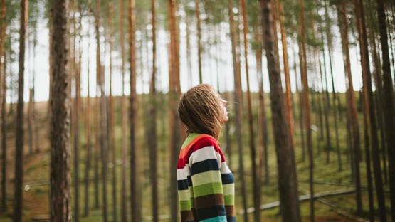 A person stands in profile in a pine forest.