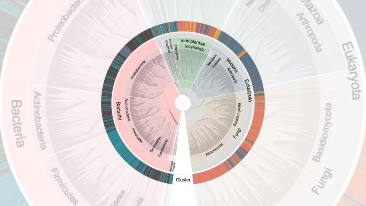 Kiruna air filter phylogenetic tree of species found
