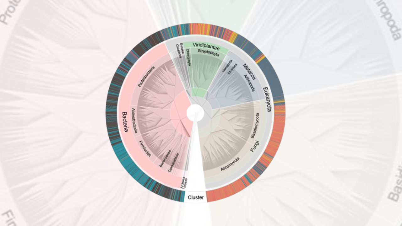 Kiruna air filter phylogenetic tree of species found