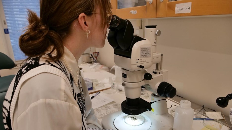 Mara-Kim Wiedmann, vid MAL.