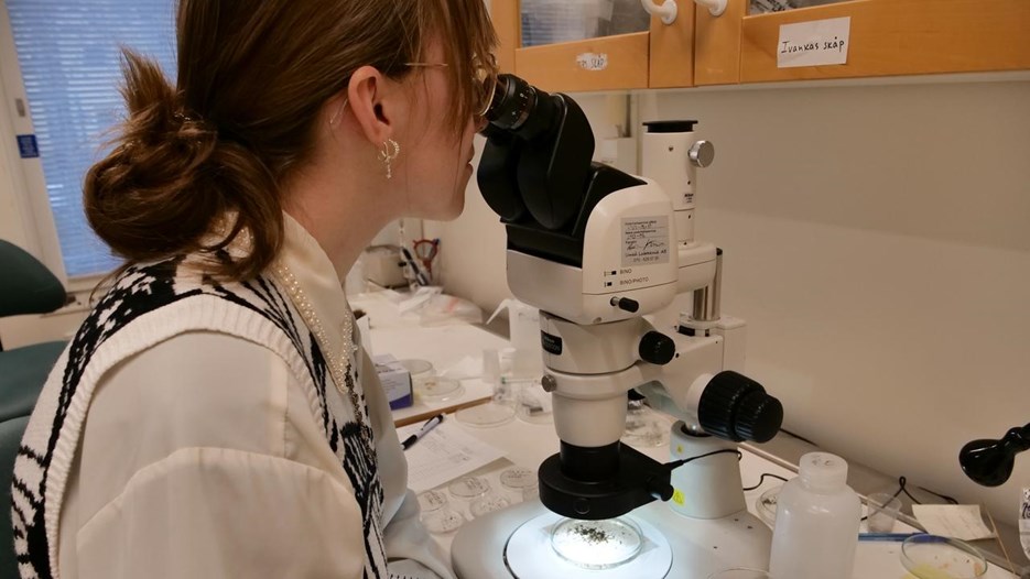 Mara-Kim Wiedmann at MAL, a lab connected to Archlab.