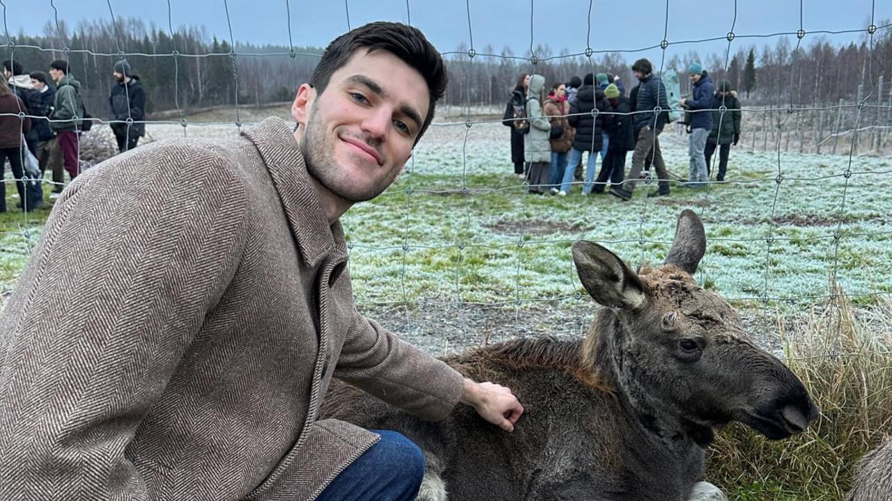 A man and a baby moose.