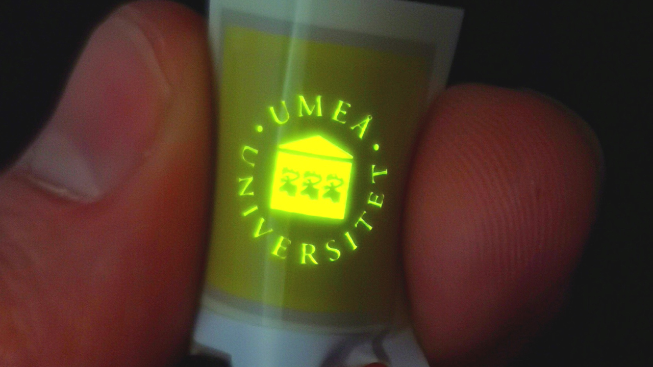 LEC med Universitets logotyp i lysande gulgrönt sken.