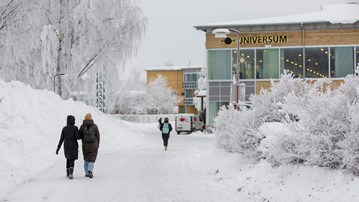 Umeå Universitet på vintern