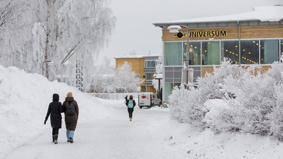 Universitetet på vintern