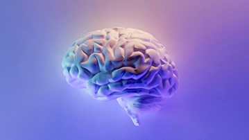 An illustration of a brain on a purple background