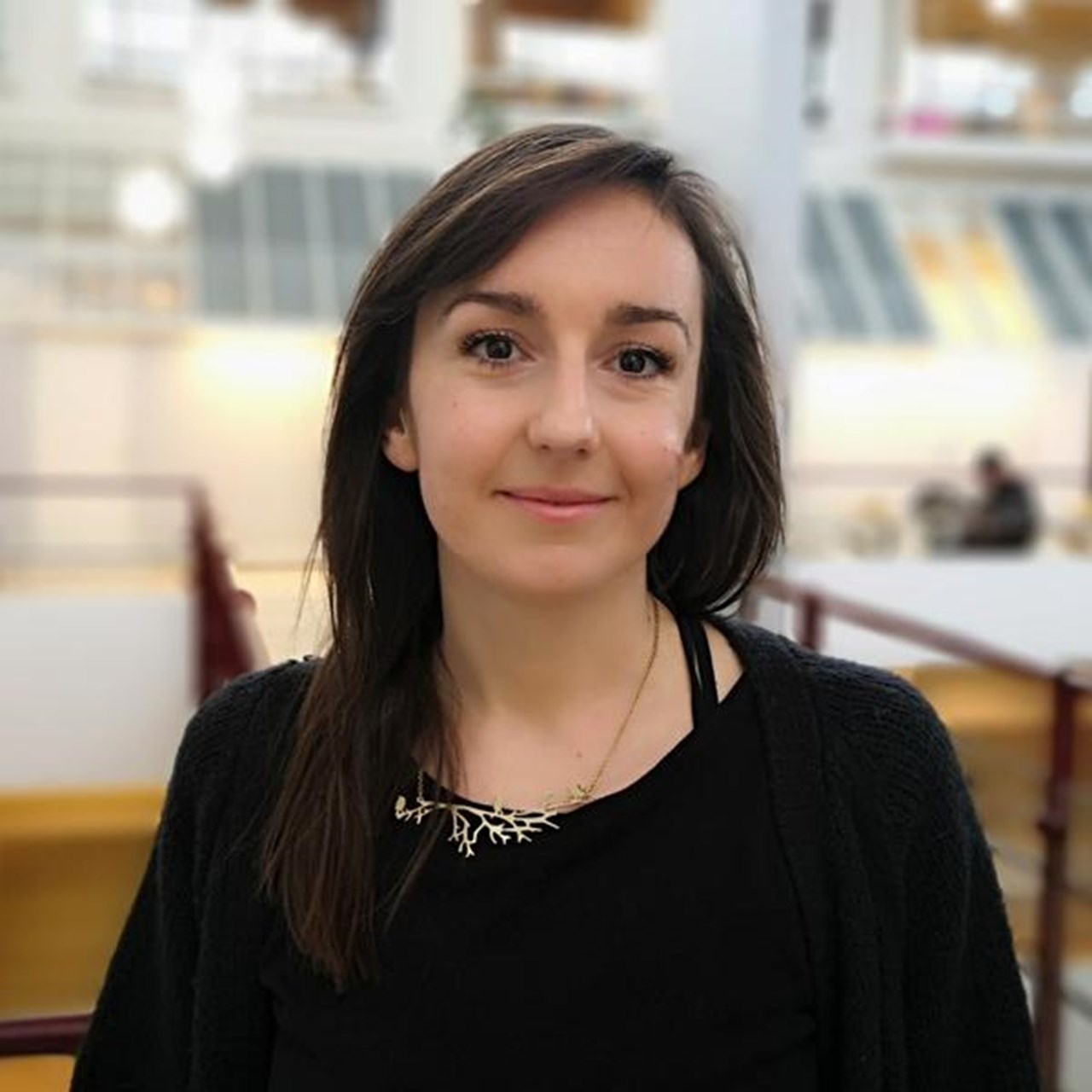 Irina Mancheva, Statsvetenskapliga insitutionen