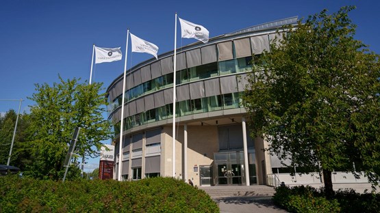 flaggor vid universitetsledningshuset
