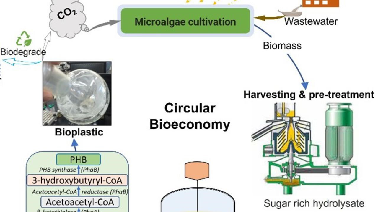 Illustration Circular Bioeconomy.