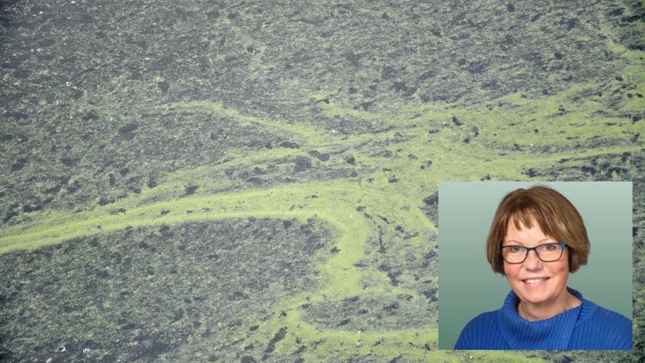 Fotomontage med algblomning och porträtt på Christiane Funk.