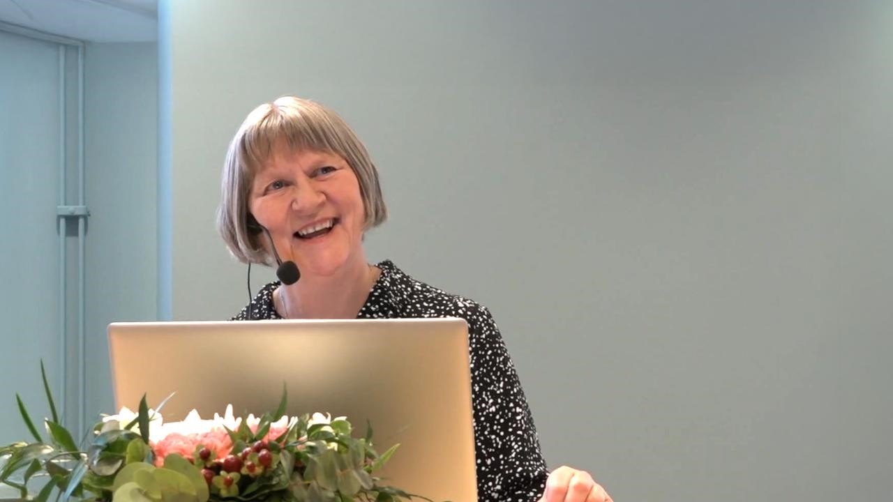 Julie Allan, gästprofessor 2026