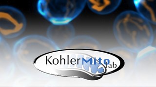 Blue and yellow cells and the logotype of a research group