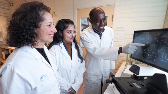 Nasim Sabouri lab