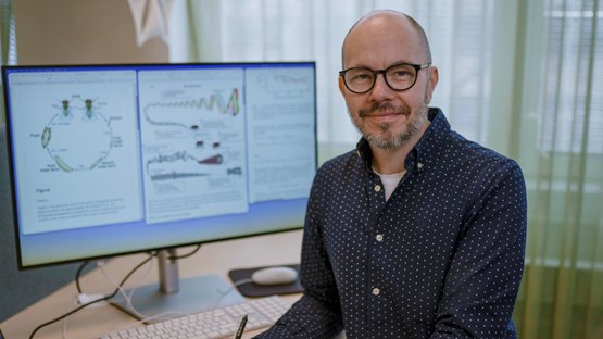 Ludvig LizanaProfessor vid Institutionen för fysikEnhet: Statistical Physics of Living SystemsRoll: Biträdande prefekt
