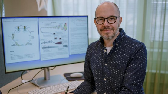 Ludvig LizanaProfessor vid Institutionen för fysikEnhet: Statistical Physics of Living SystemsRoll: Biträdande prefekt
