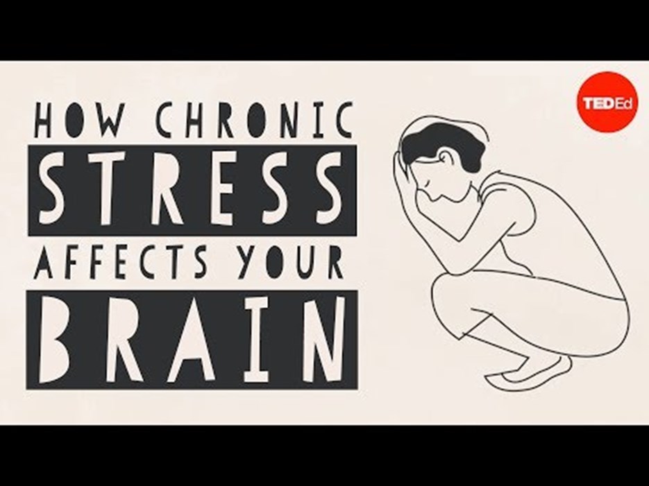 Film: How stress affects your brain