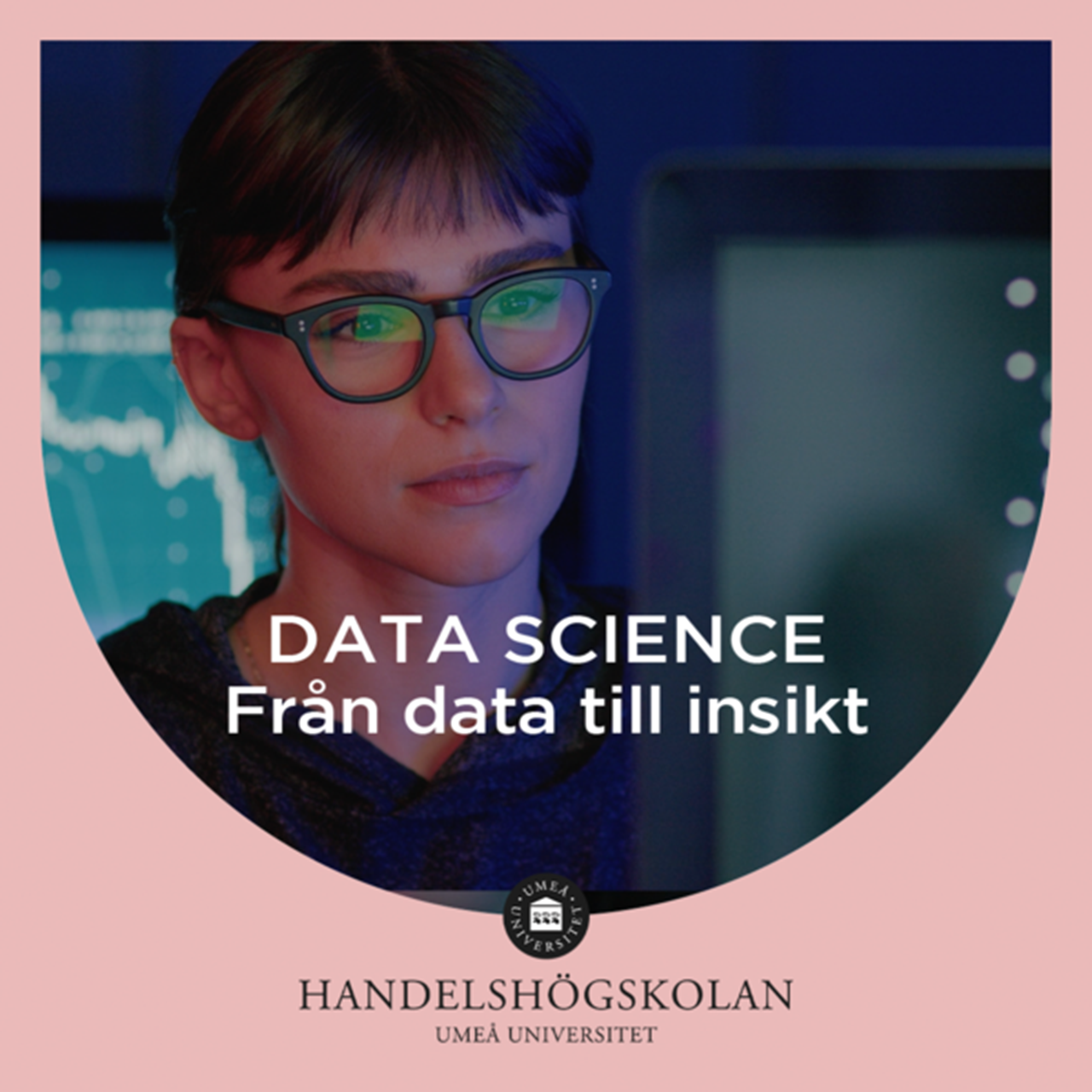 Data science - Från data till insikt