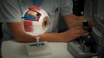 En modell av ett öga.