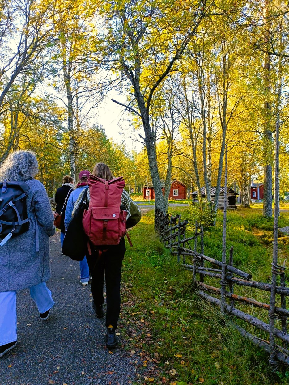 Guided tour at Gammlia.