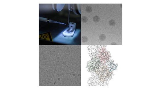 microscope and samples