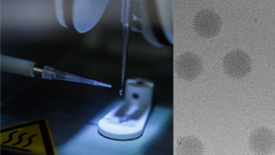 images of microscope and microscope samples