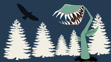 Köttätande växt och rovfågel. Vita granar i bakgrunden. Illustration.