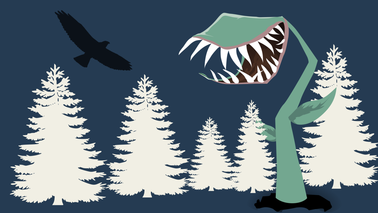 K&ouml;tt&auml;tande v&auml;xt och rovf&aring;gel. Vita granar i bakgrunden. Illustration.