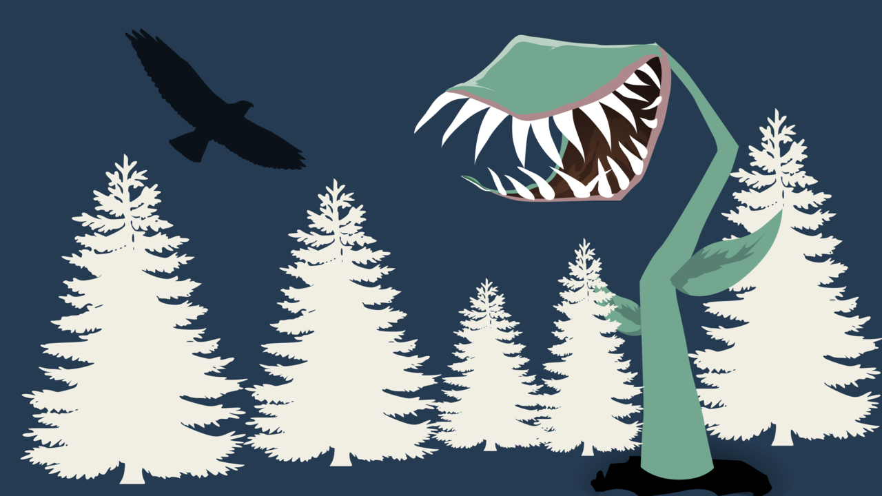 K&ouml;tt&auml;tande v&auml;xt och rovf&aring;gel. Vita granar i bakgrunden. Illustration.