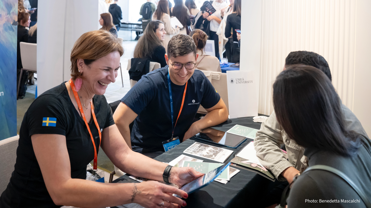 Study counsellor at a recruitment fair