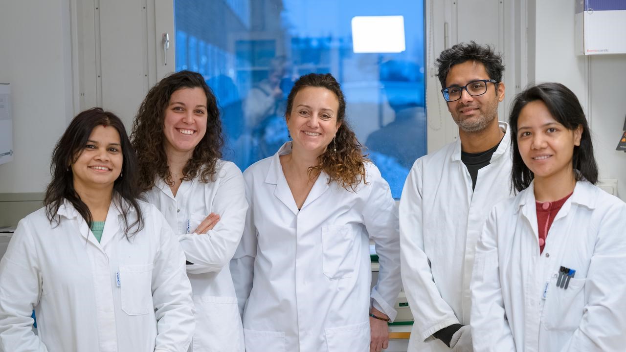 Aguilo's labExocyst project