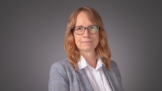 Associate professor at the Department of Chemistry