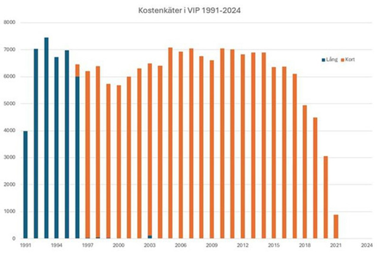 Kostenkäter i VIP 1991-2024