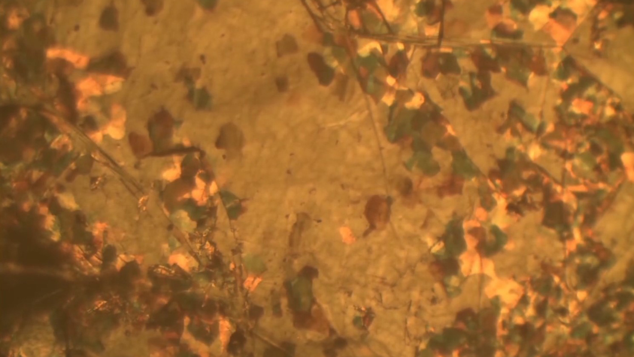 Graphite oxidation experiments reveal new type of oscillating chemical reaction