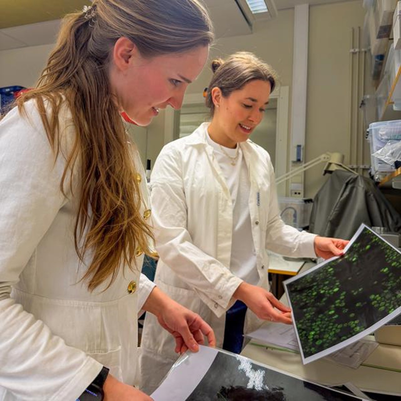 Verena Kohler och Sofia Morney tittar p&aring; bilder