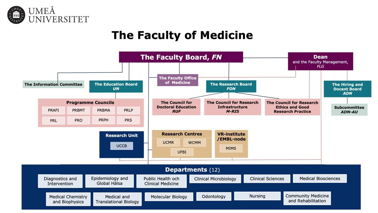 Broad picture of organization of Faculty of Medicine
